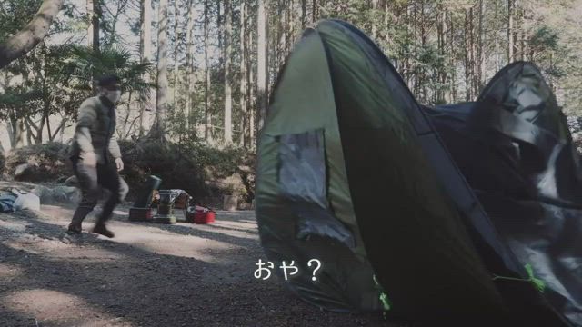 Amazon.co.jp: アライテント エアライズ